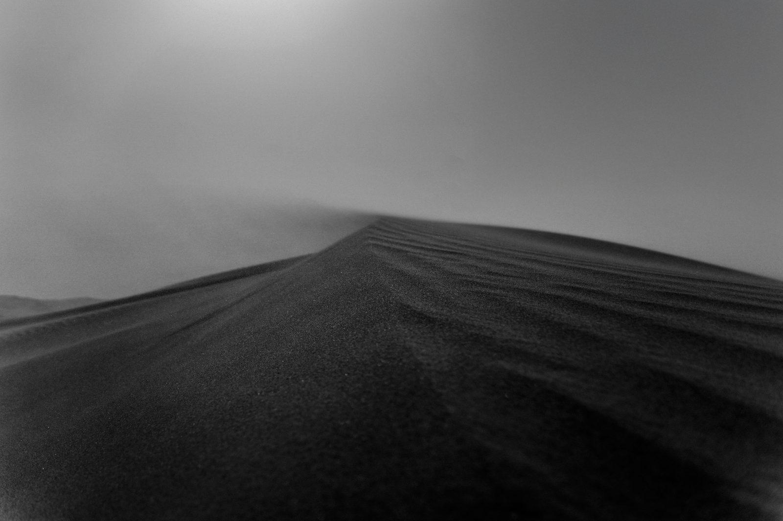 Monochrome Wilds